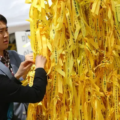 세월호 참사 희생자분들